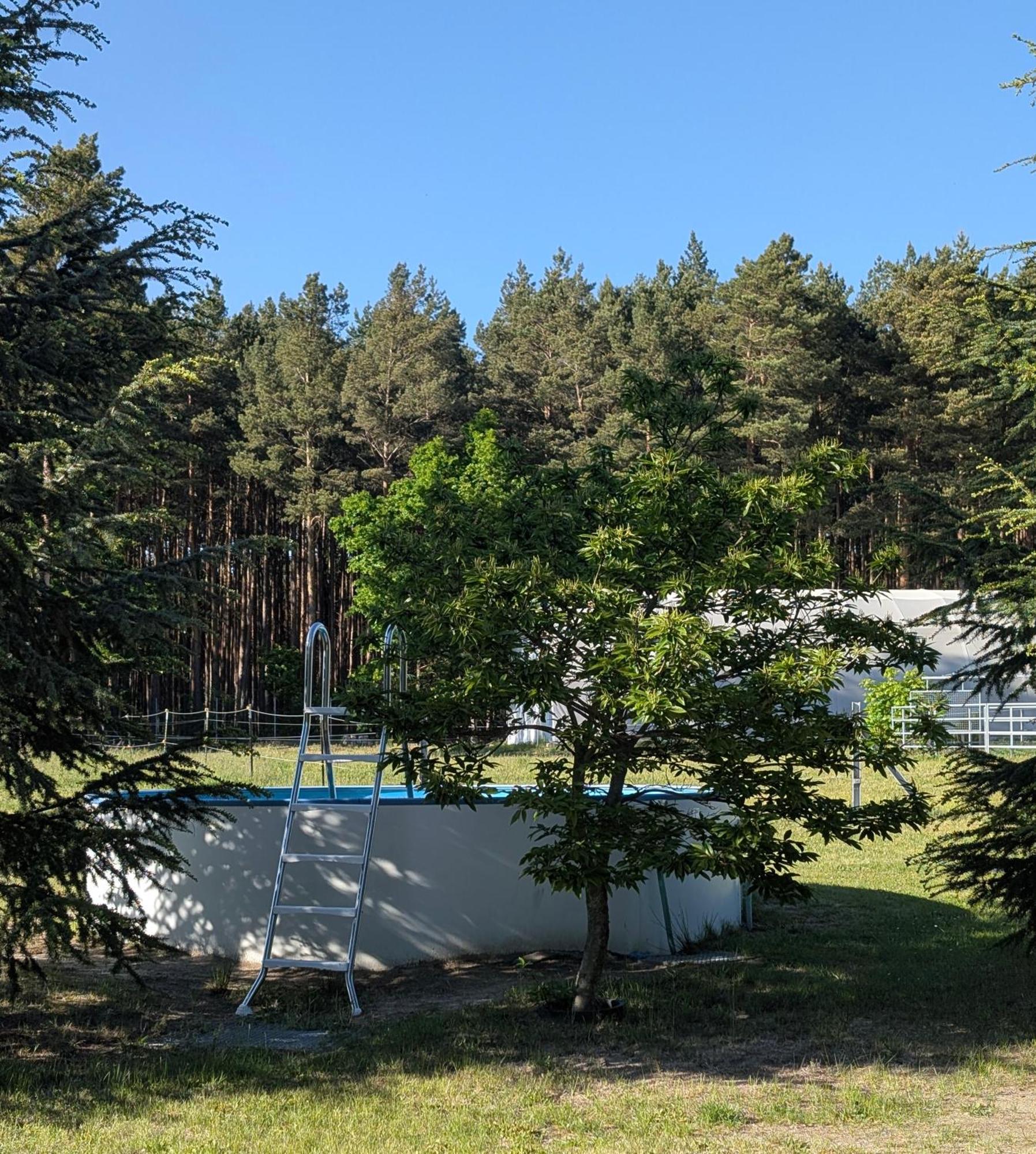 Pension Zum Reiterhof, Fewo 2 Schmogrow Екстериор снимка